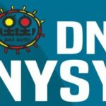 Dni Nysy 2025